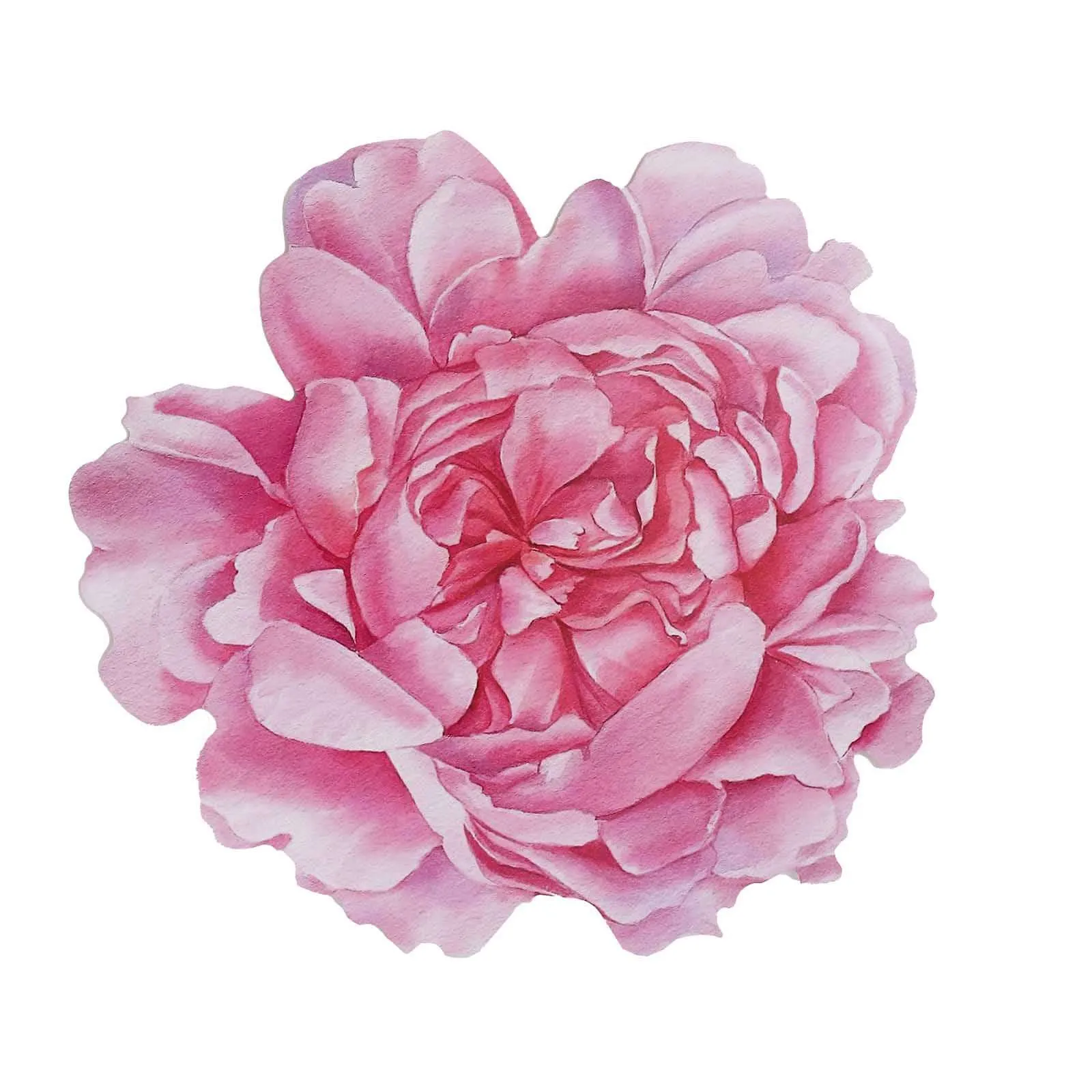 10 Pack Pink Peony Flower Cardboard Paper Placemats, 14" Disposable Floral Table Mats - 400GSM