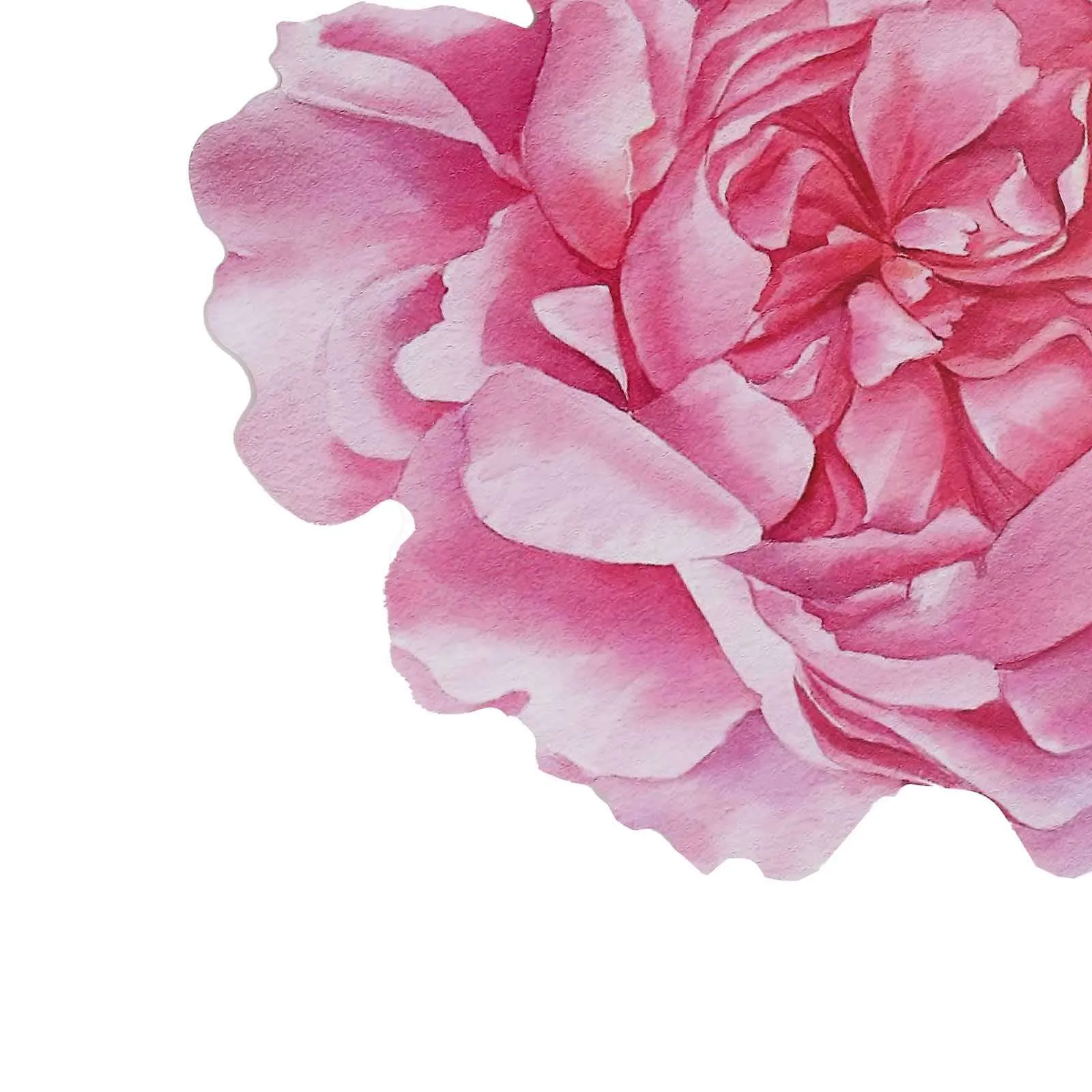 10 Pack Pink Peony Flower Cardboard Paper Placemats, 14" Disposable Floral Table Mats - 400GSM