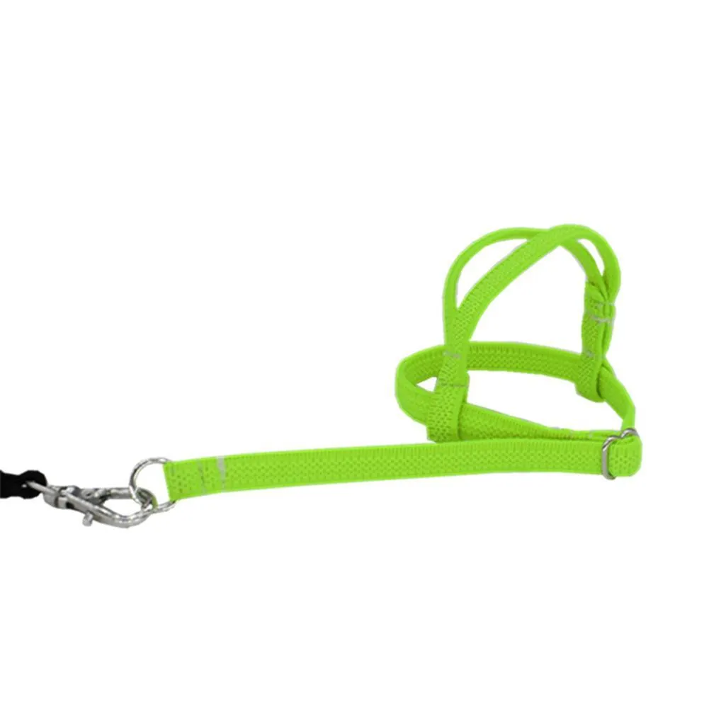 Bird's Ultralight Harness