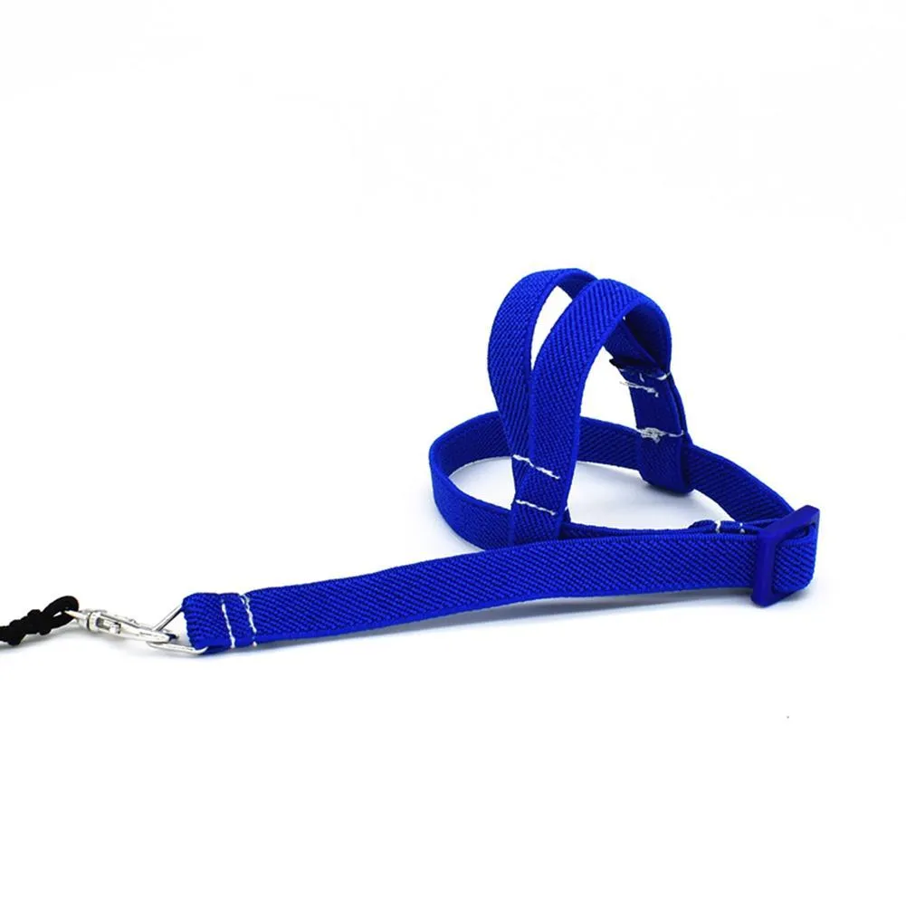 Bird's Ultralight Harness
