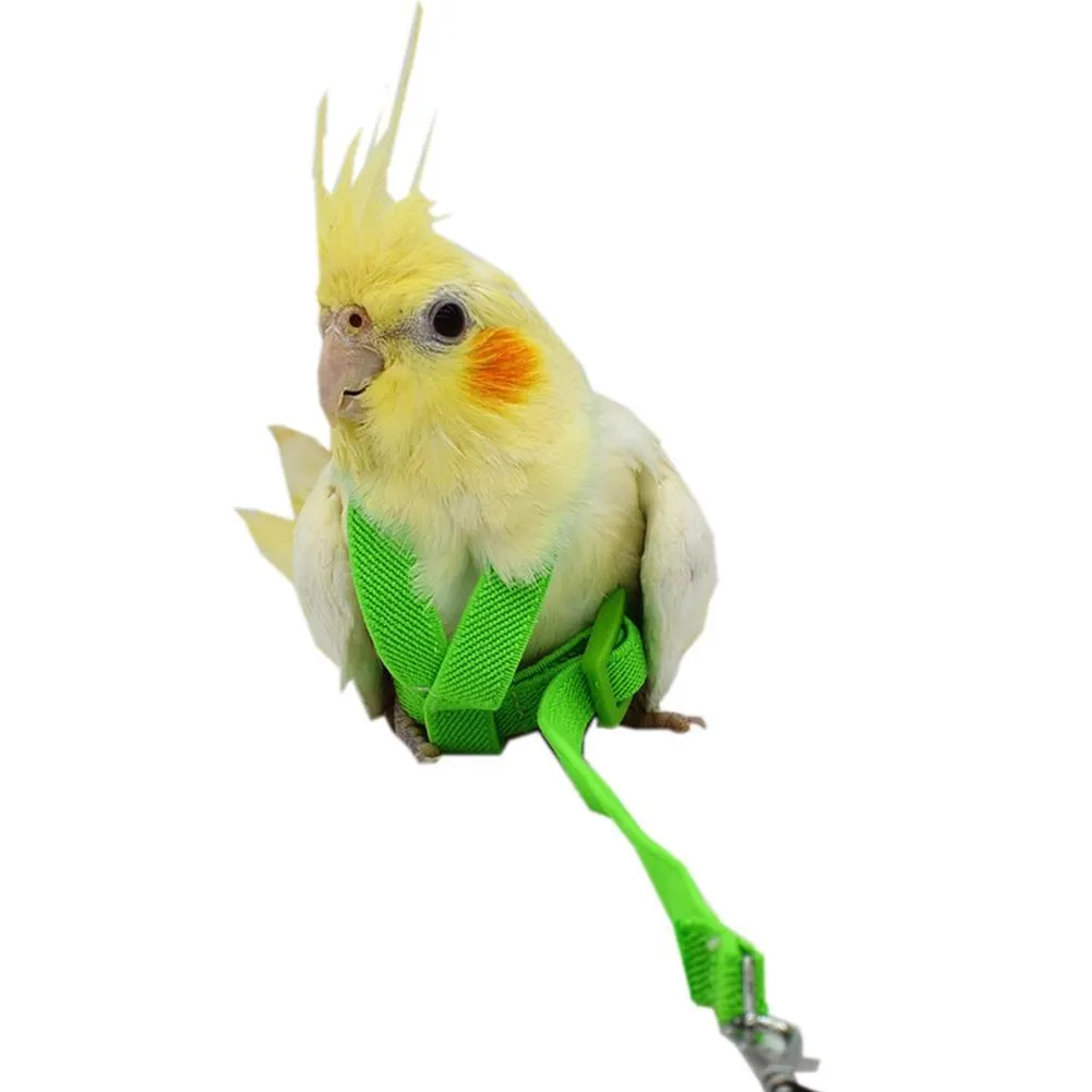 Bird's Ultralight Harness