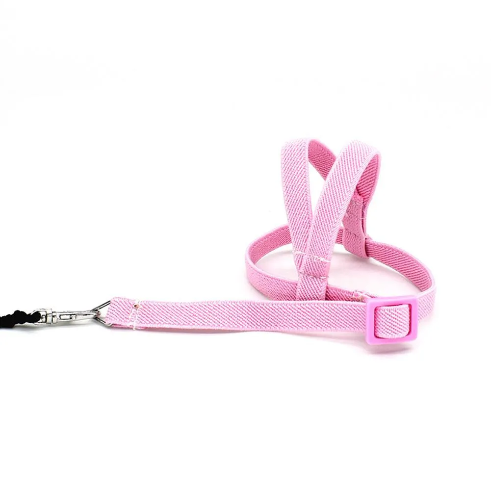 Bird's Ultralight Harness