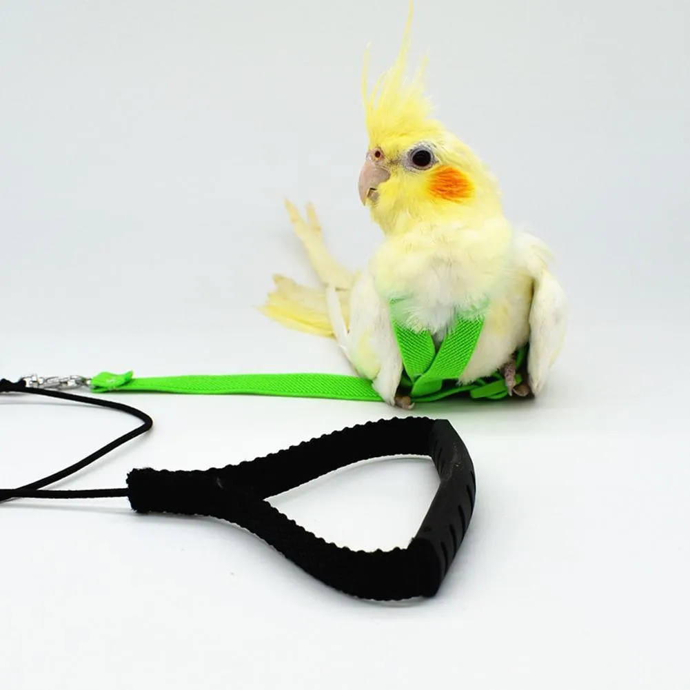Bird's Ultralight Harness