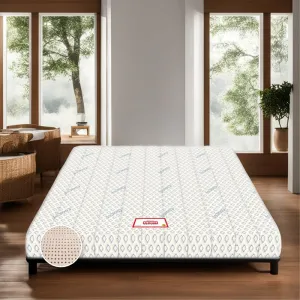 COIRFIT BIOLIFE 7-Zone 100% Natural 6 inch Single Latex Mattress| Talalay Technology|Cool Gel Mattress |10 Years Warranty, (72x42x6 inches)