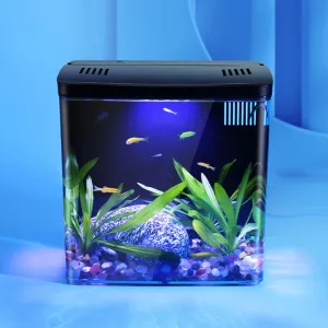 Mini Self-Circulating Fish Tank